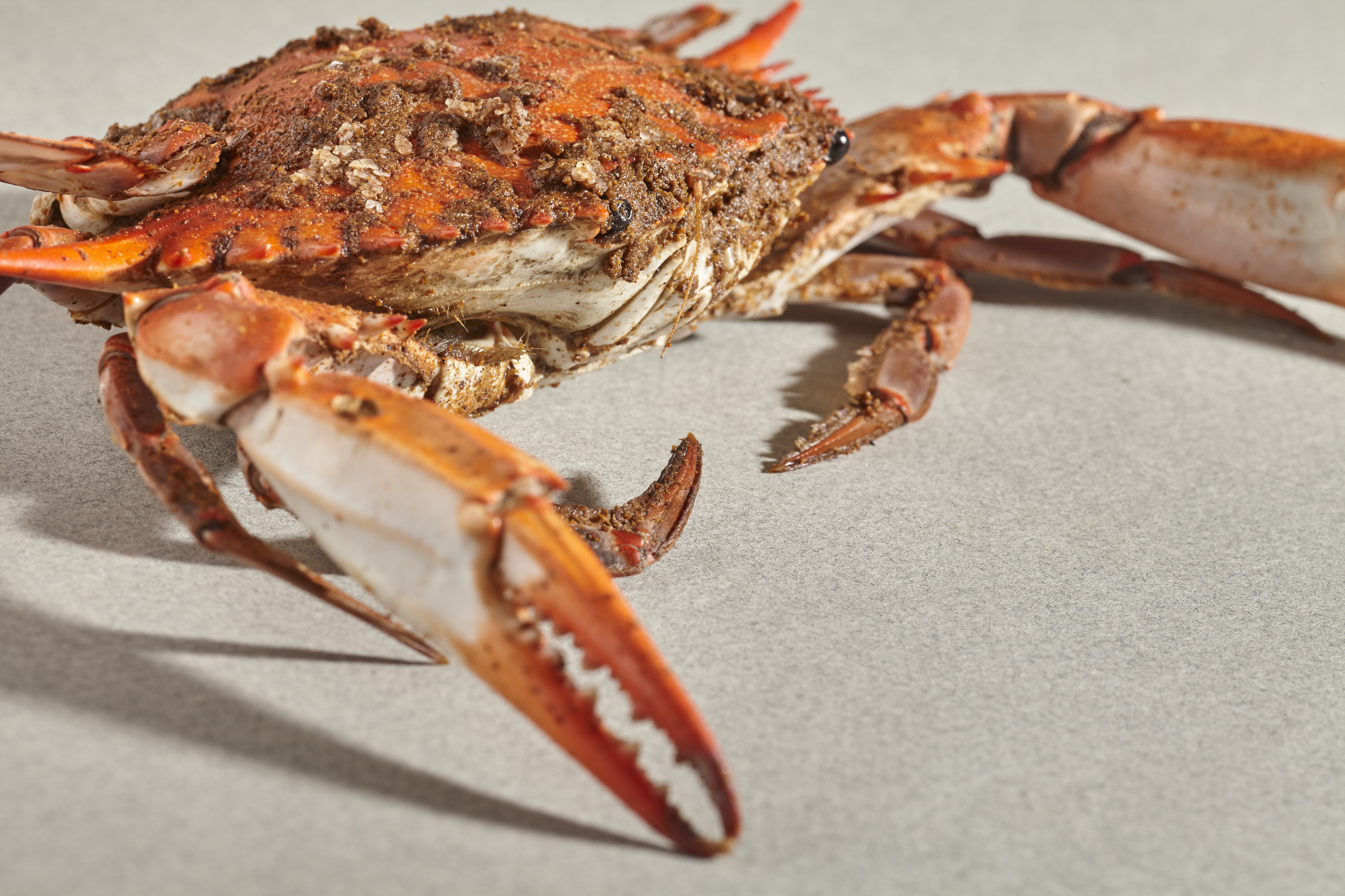 It’s Crab Season! Our Guide to Baltimore’s Best Pickings
